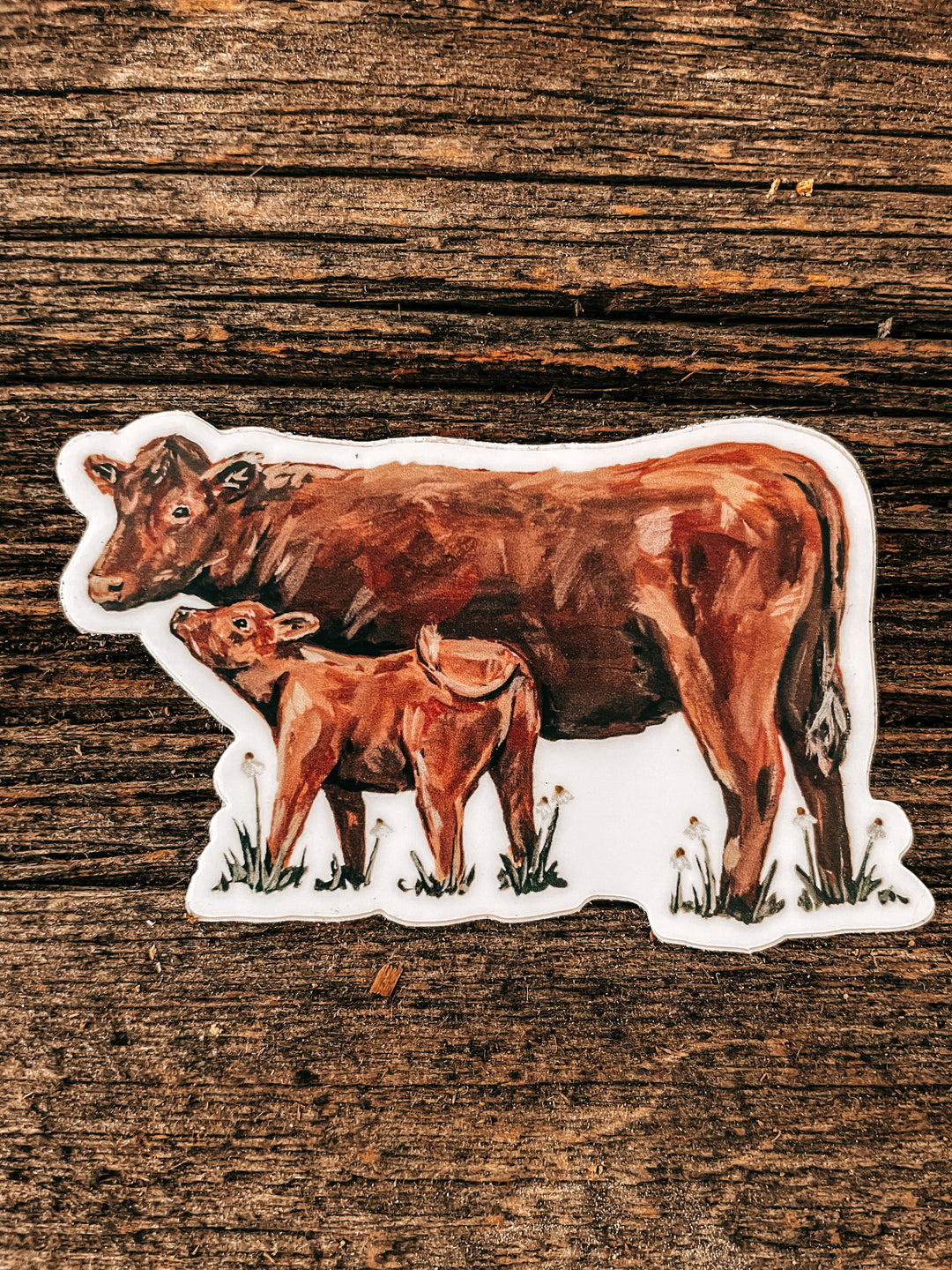 Cow and Calf Sticker