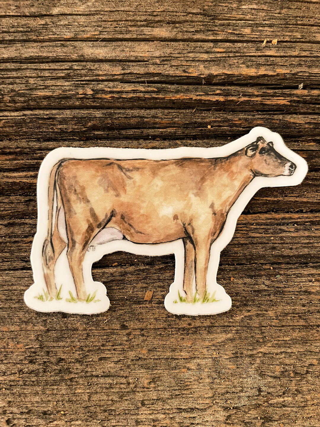 Jersey Cow Sticker