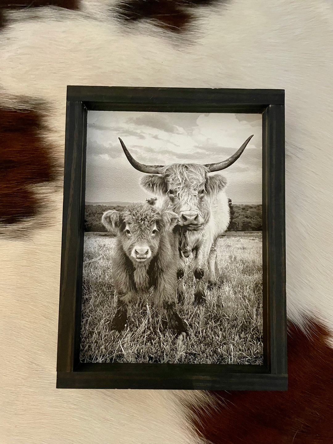 Highland Cow and Calf