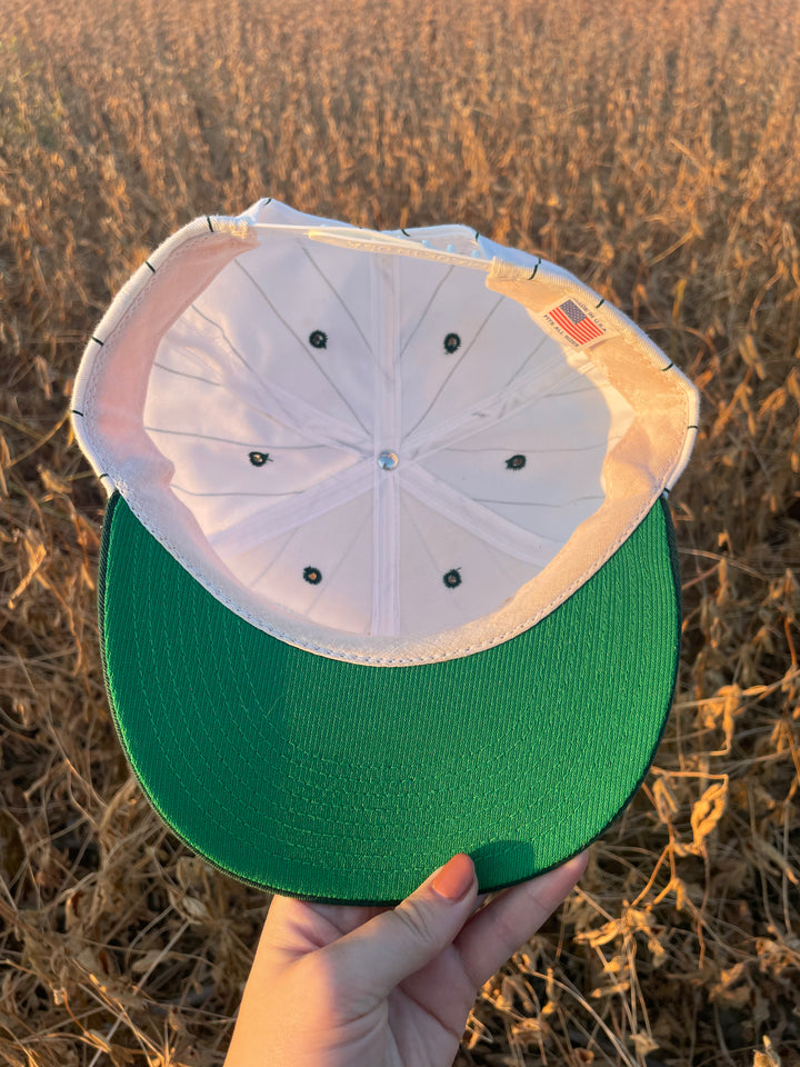 Vintage John Deere Pinstripe Snapback Hat | “Nothing Runs Like a Deere”