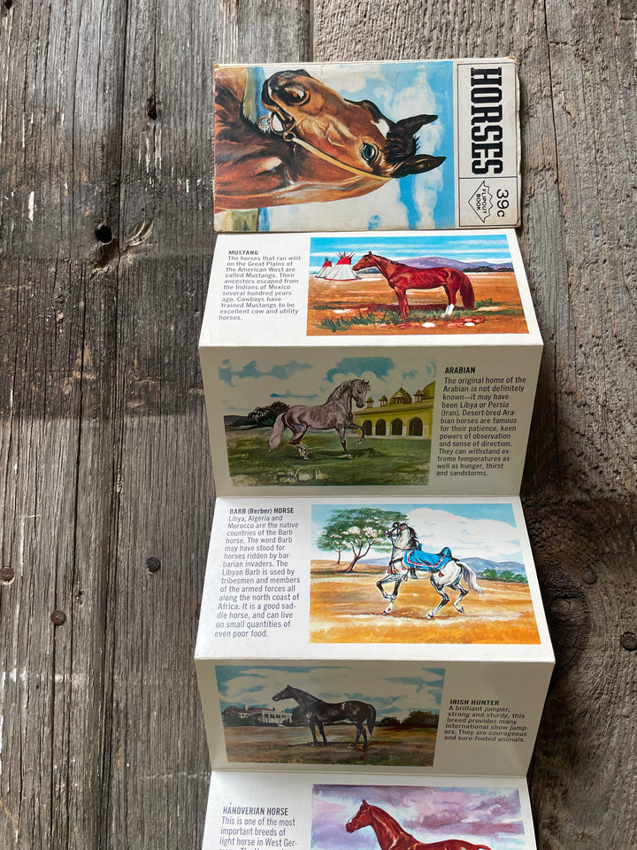 Vintage Horse Flip Book