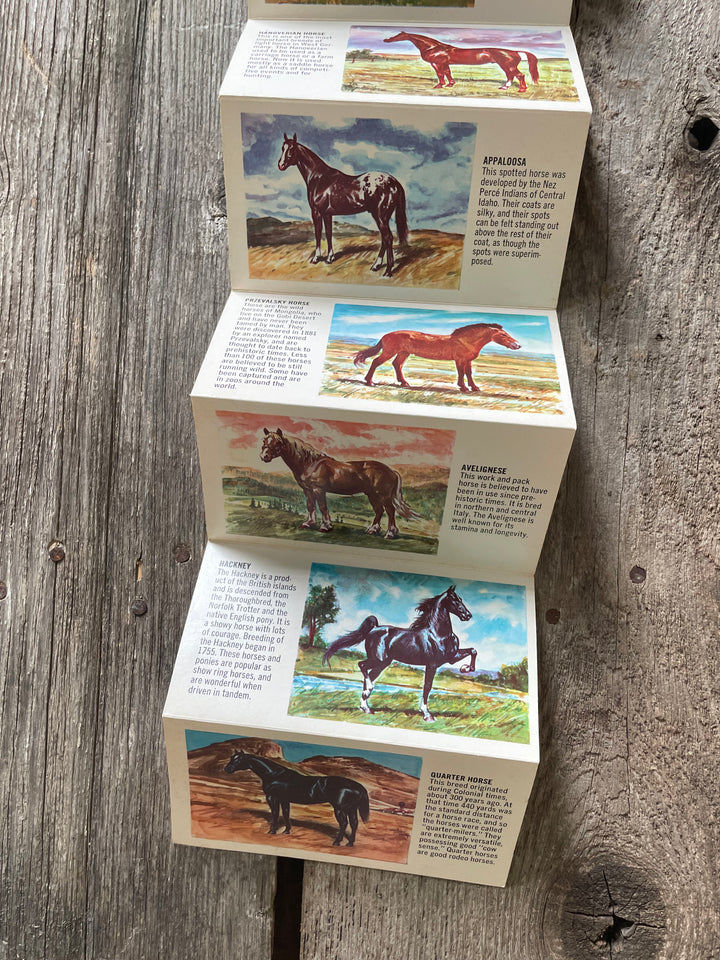 Vintage Horse Flip Book